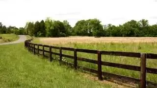 Alabama Land For Sale - 155 Acre & Inspired Connecticut Farmhouse