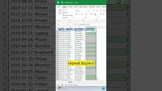 Find Repeat Customers in Excel FAST! | COUNTIF Formula Hack 🚀