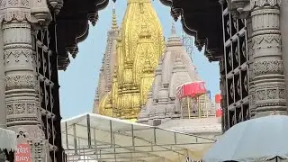 Kashi Vishwanath Mandir Varanshi🥰#KashiVishwanathTemple #KashiVishwanath #varanshi #jyotirlinga