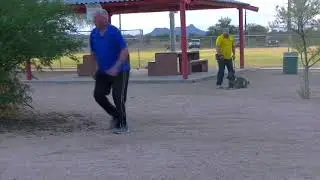 K9 aggression training on and off switch