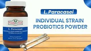 Lactobacillus Paracasei Probiotic Powder  | Made in USA | NO Additives