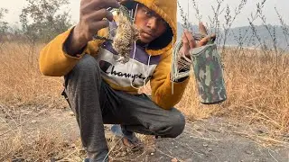 Trying quail bird trap: us desi ideas and trick speaker box sound voice quail bird 