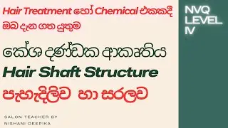 Hair Shaft Structure Explained Sinhala | කේශ දණ්ඩක ආකෘතිය සරලව | NVQ Level 4 Hairdressing