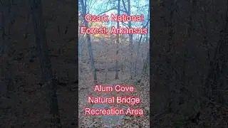 Hiking Trail #naturalbridge #ozarknationalforest #hikingtrails #winterhike #crunchingsounds #shorts