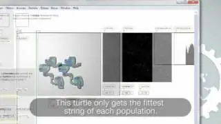 Embodied Vision Turtle