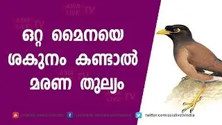 ഒറ്റ മൈനയെ ശകുനം കണ്ടാൽ മരണ തുല്യം | 9446141155 | Online Astrology | Asia Live TV