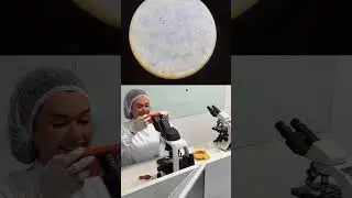 Trouxe minhas MAKES FALSIFICADAS PARA O LABORAT&Oacute;RIO. 🥼🧪🔬🧫👩&zwj;🔬#francinyehlke