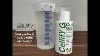 Making A Simple 1:250 Cellify G Dilution