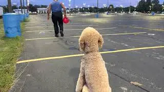 Pappy doing his favorite thing: POPPING THE BALLOON & Playing Tug