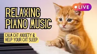 🎹 Relaxing Piano Music for Cats | Calm Cat Anxiety & Help Your Cat Sleep 🐾