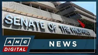 PH Senate minority leader appeals to Marcos to veto Maharlika Investment Fund act  | ANC