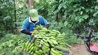 Inilah aktivitas Warga dikampung 