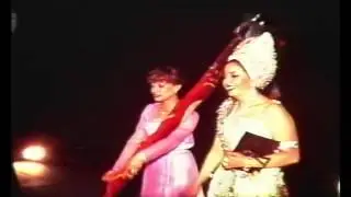 Pregón y Día de Banderas - Moros y Cristianos Petrer 1981