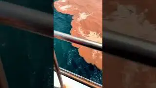 miracle 2 seas does not mix. #sea #ocean #miracle