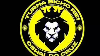 BICHO REI - MEDLEY DAS ANTIGAS - DJ PARAZINHO