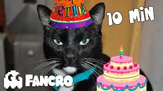 FELIZ CUMPLEAÑOS - Versión Gatuna (10Min)