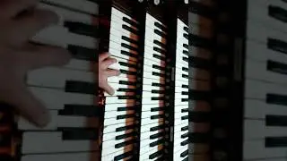 Me sneaking into a church playing the organ