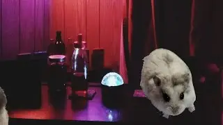 Bar Time With Berberderk (Part 3)