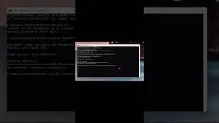 Windows 10/11 - How to install Telnet Client with a Single Command