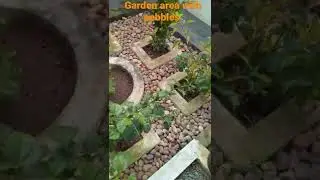 Garden private space/low cost/ with pebbles/private space/ambience