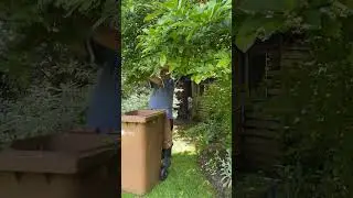 Garden jobs in May 2024 #shorts  #gardening #UK