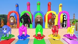 Long Slide Game with Cow Elephant Gorilla Hippopotamus Tiger 3d Animal Game Funny 3d Animals