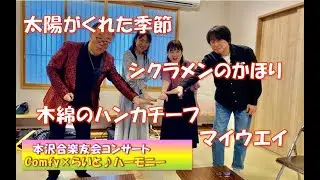 太陽がくれた季節、シクラメンのかほり、木綿のハンカチーフ、マイウエイ カバー　Comfy×らいと♪ハーモニー
