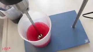Studienrichtung Verfahrenstechnik Papier und Biofasern 1
