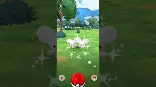 New ✨Shiny Tandemaus✨ In Pokemon Go!!! #pokemongo #shorts #shinypokemon #tandemaus #gen9 #music