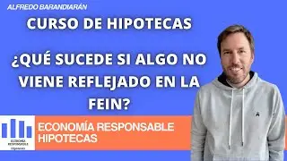 &iquest;Qu&eacute; sucede si algo no viene reflejado en la FEIN?