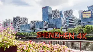 Shenzhen Dasha River Ecological Corridor 4K 2022