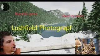 Lushfoil Photography Sim Beautiful New Game Demo Steam