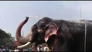 Pooram videos