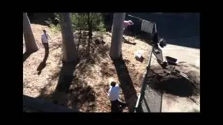 BeardsOn planting 300 native trees National Tree Day 2016