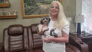 Sold Coach blue white male Havapoo est adult weight 10 lbs with all vaccines 904-838-9628