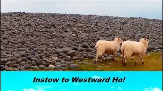 Coast Path Winter Walk 19 Instow to Westward Ho!