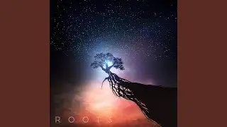 Needle In The Haystack