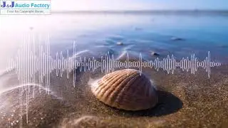 [J&J No Copyright Music] Seashores And Seashells (feat. Geoff Sims) - RockBorn Music Academy