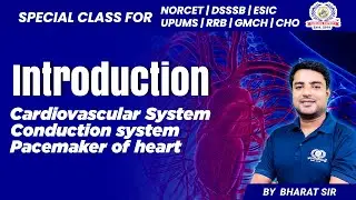 Conduction system | pacemaker of heart | Cardiovascular System | Nursing Experts