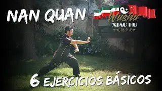 Nan Quan 6 ejercicios básicos 初级 组合 练习