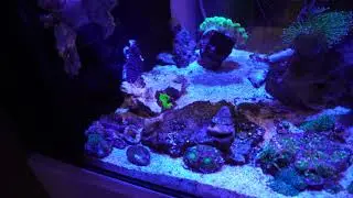 Waterbox 25g peninsula scape