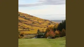 Moco