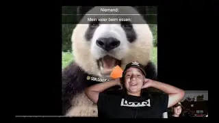 Deutsche Memes +Neurolink chip // Reaction Staffel 1 Folge 6