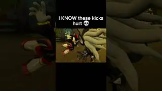 Shadow's kicks are LETHAL 💀 #sonicmemes #shorts #sega #sonicthehedgehog #shadowthehedgehog