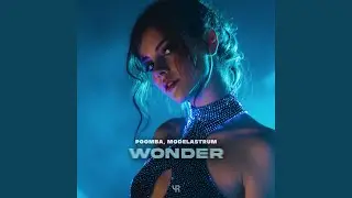 Wonder