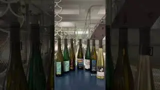 Szombaton Badacsonyi &Uacute;jbor K&oacute;stol&oacute; a Hable&aacute;nyban🥳 #shorts #wine #winelovers #laposa #laposabirtok