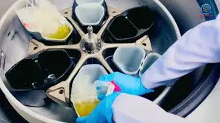 Regional Blood Center - Weighing Balance in Blood Components (7)
