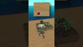 101 Raft Tips: #88: Seeds