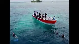 Reef Conservation in Belize