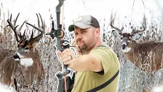 Not The Ending I Expected - My Whitetail Deer Season